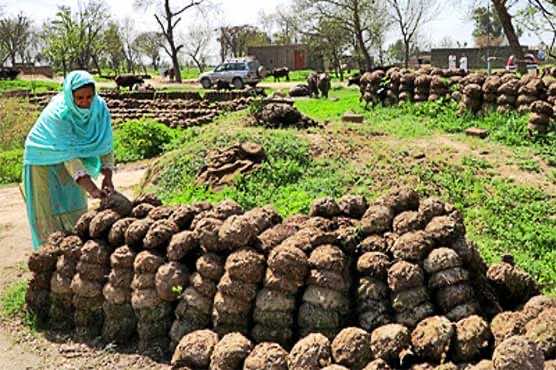 Poo-Powered Pumps Help Pakistan Farmers Grow Richer Greener_Image 2