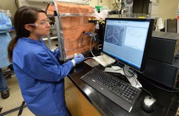 Heather Enright, a biologist at Lawrence Livermore National Laboratory, looking at a computer chip that replicates human biological systems Picture Credits: newsobserver