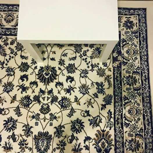 Can you spot the cellphone on the rug
