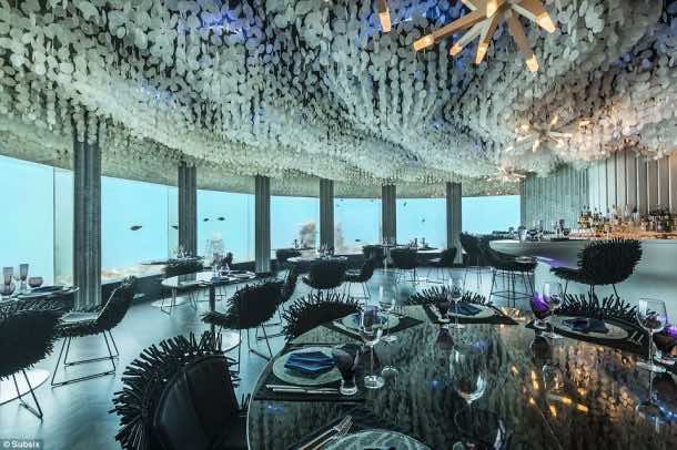 Subsix A Unique Dining 20 Feet Under the Indian Ocean_Image 0