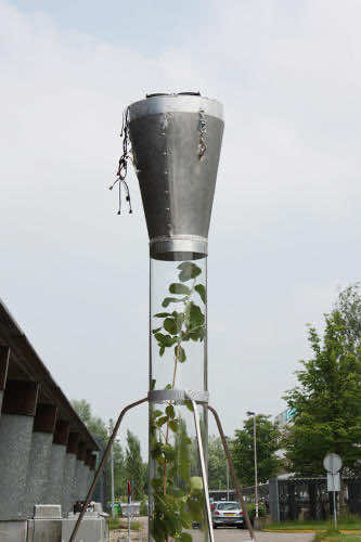 The Flower That Can Suck Up Smog Is Being Tested In Amsterdam_Image 3