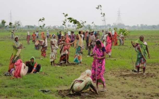 Indian women plant saplings in the attempt to set a record CREDIT: AP PHOTO/RAJESH KUMAR SINGH