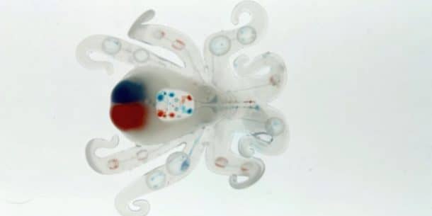 Harvard Researchers Engineer An Octopus Robot Powered By Farts_Image 1