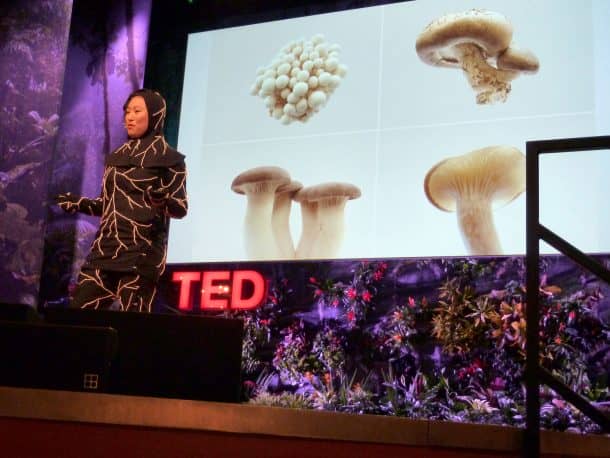 Mushroom-Infused Burial Suit Transforms Dead Bodies Into Clean Compost_Image 2
