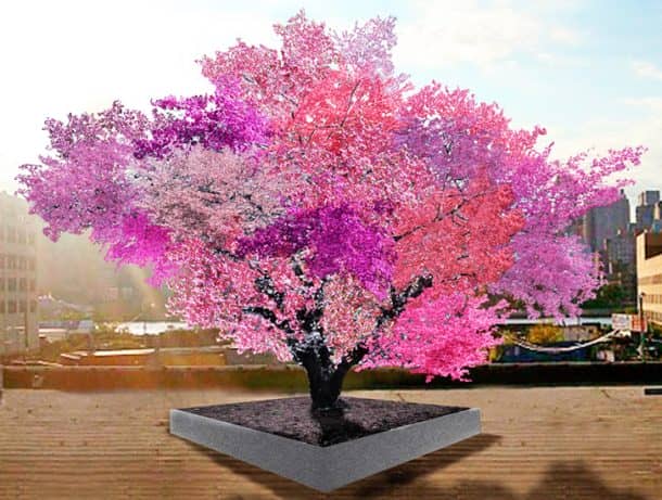 This Amazing Fairytale Tree Can Grow 40 Different Kinds Of Fruit_Image 4