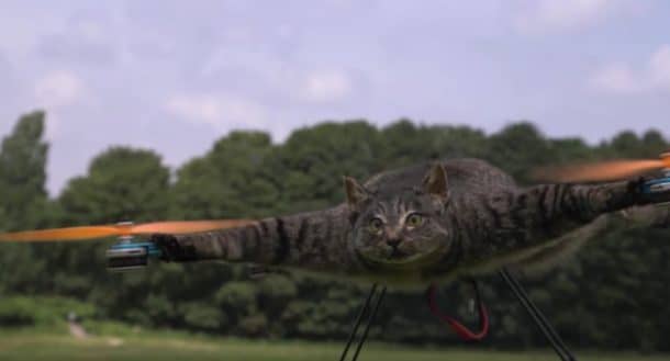 This Project Makes Your Dead Pets Fly By Turning Them Into Drones_Image 1