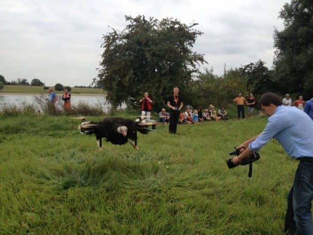 This Project Makes Your Dead Pets Fly By Turning Them Into Drones_Image 11