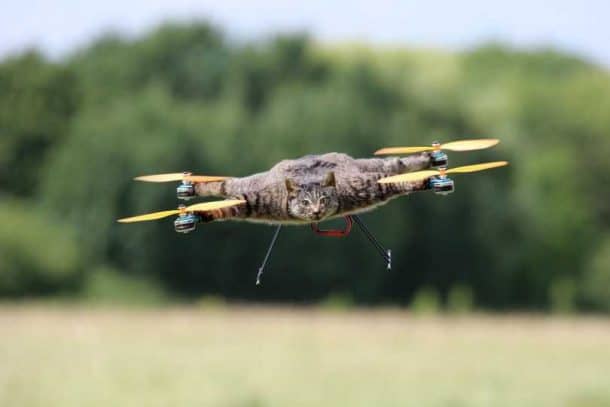 This Project Makes Your Dead Pets Fly By Turning Them Into Drones_Image 2