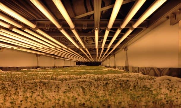 World's Largest Vertical Farm In Newark Grows Without Soil, Sunlight or Water_Image 0
