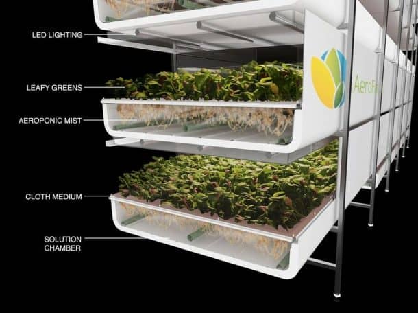 World's Largest Vertical Farm In Newark Grows Without Soil, Sunlight or Water_Image 4