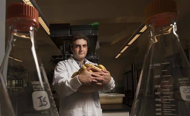 Ioannis Stergiopoulos, plant pathologist at UC Davis, is leading the research(Credit: Gregory Urquiaga/UC Davis)