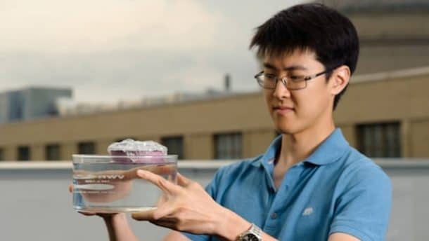 Graduate student and first author of the study George Ni holds the unique sponge-like device that can boil water through the absorption of sunlight (Credit: Jeremy Cho)