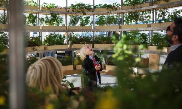 a-spherical-farm-pod-the-growroom-brings-agriculture-to-city-streets_image-10