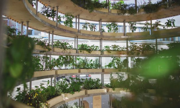 a-spherical-farm-pod-the-growroom-brings-agriculture-to-city-streets_image-11