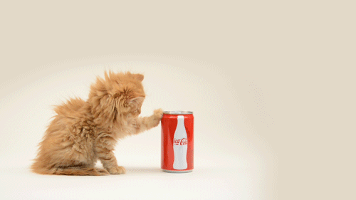 does-tapping-a-soda-can-really-prevent-it-from-fizzing-over_image-4