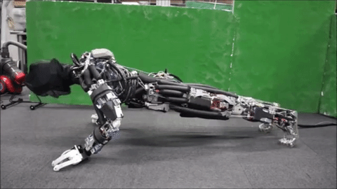 the-humanoid-robot-that-sweats-to-keep-cool-as-it-does-press-ups_image-0