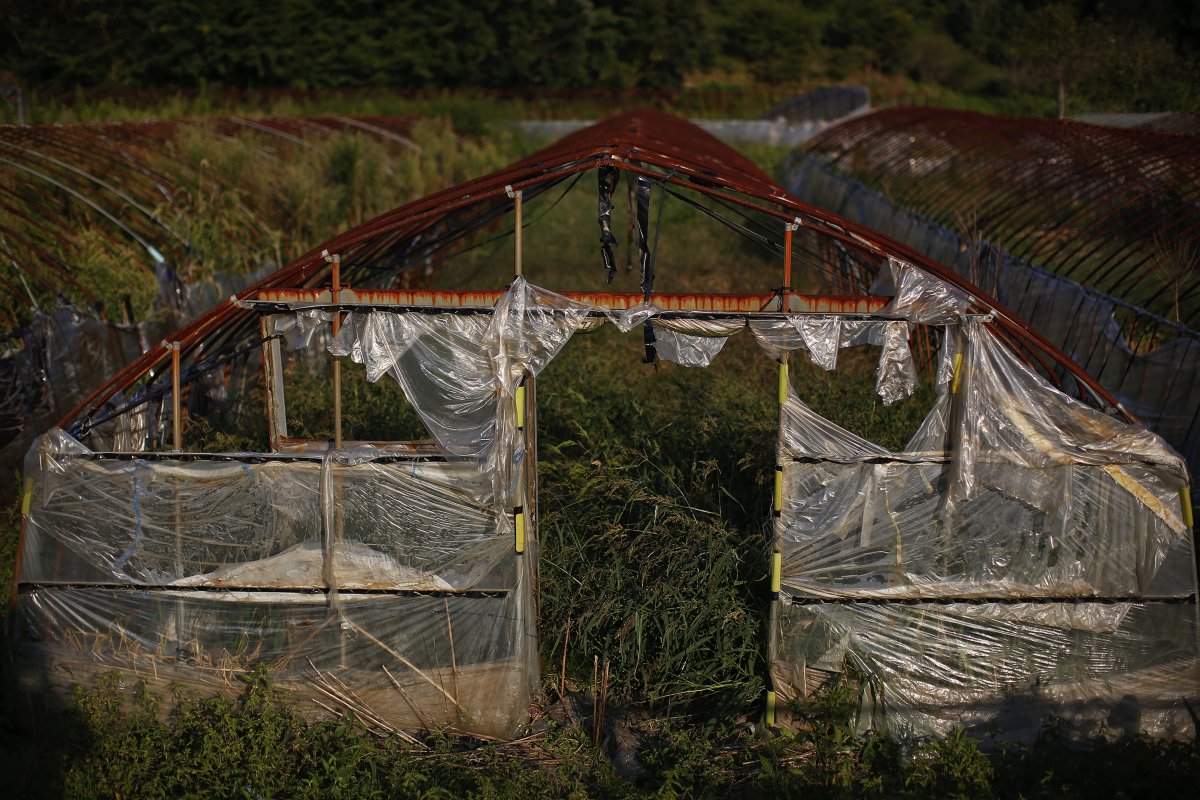 This abandoned farm is at the edge of the exclusion zone at the coastal area near Minamisoma, a partially evacuated city.