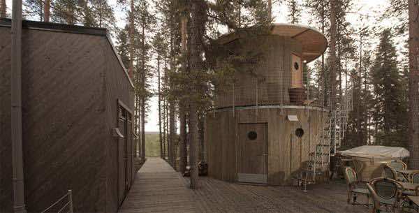 Tree Hotel 5