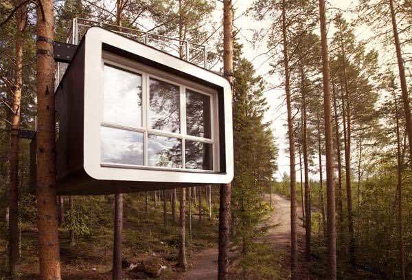 Tree Hotel 6