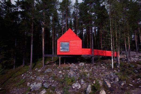 Tree Hotel 7