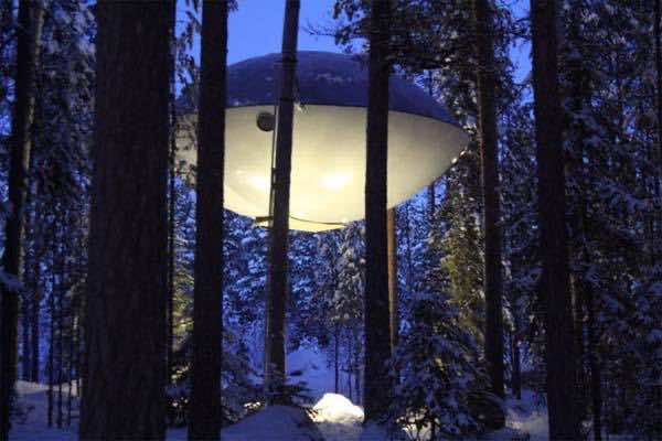Tree Hotel 8
