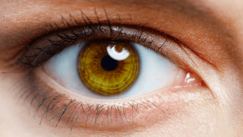 Scientists Discover A New Layer In Human Eye