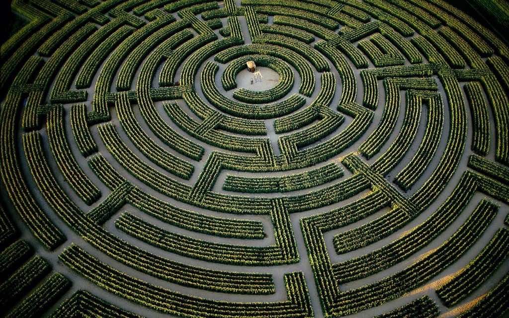 The largest plant maze in the world, at Reignac-sur-Indre, Indre-et-Loire Department, France
