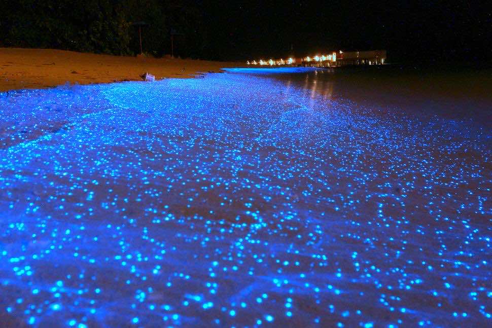 Glowing Beach 3