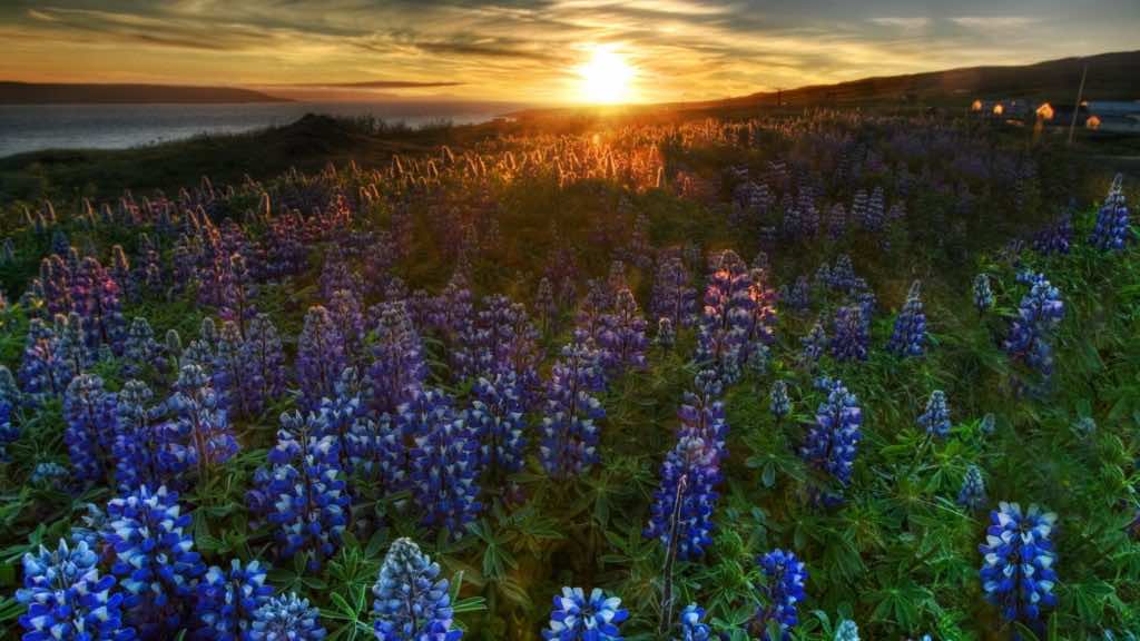 44 High Definition Landscape Pictures From Around The Globe
