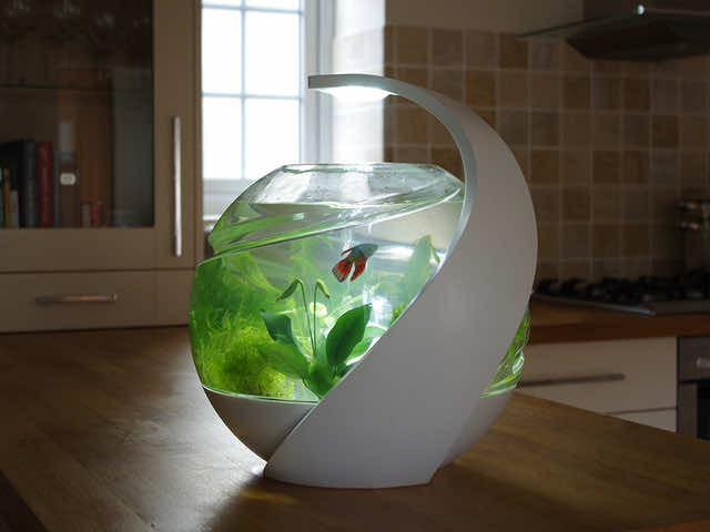 Smart Fish Tank - Avo5