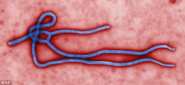 Easy to Use Device Can Detect Ebola in 30 Minutes3