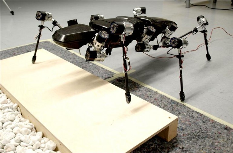 Hector – The Stick Inspired Robot 2