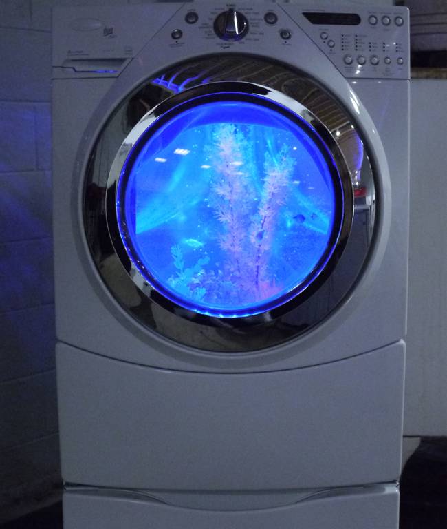 Washing Machine Transformation into a Fish Tank9