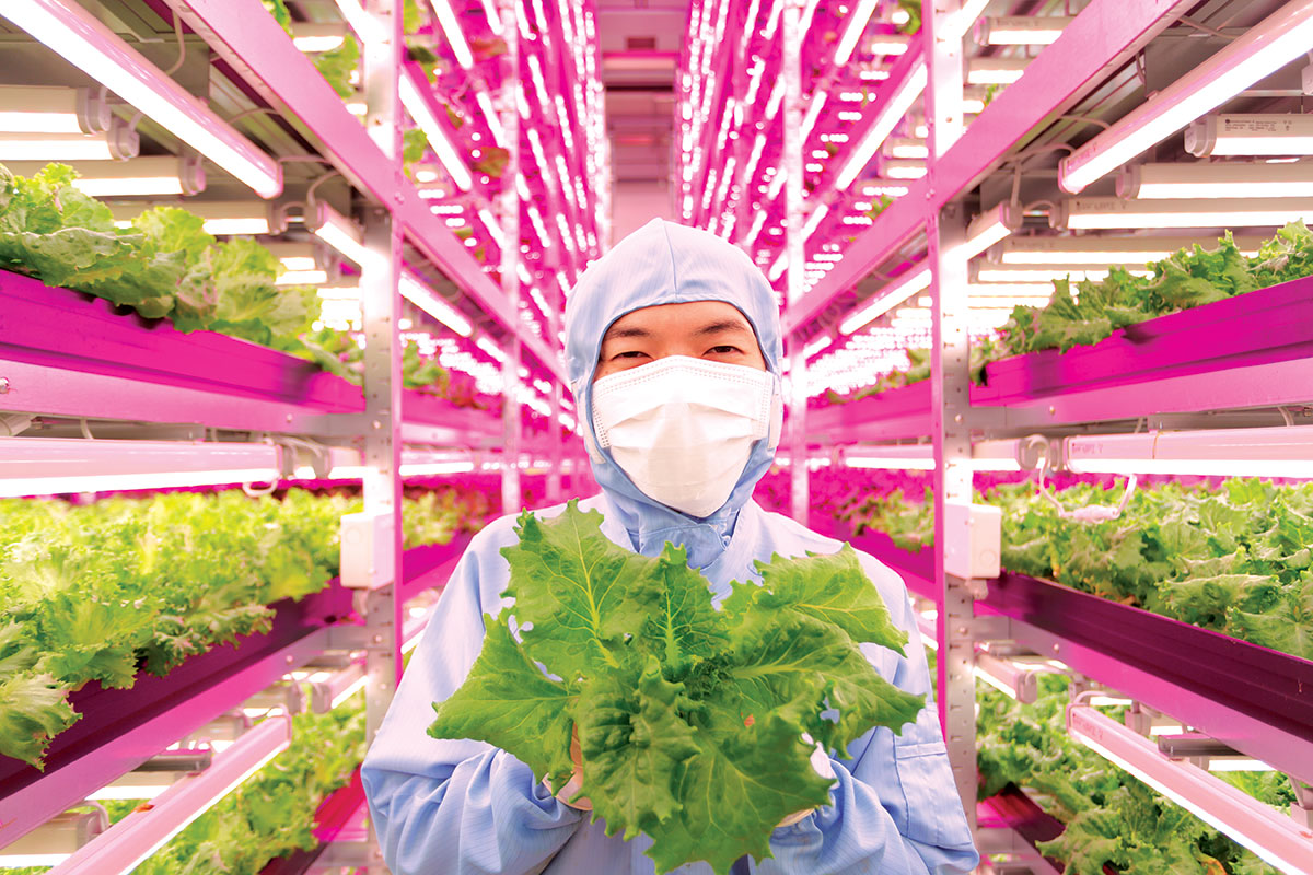 World’s Largest Indoor Farm – Producing 100 Times More5