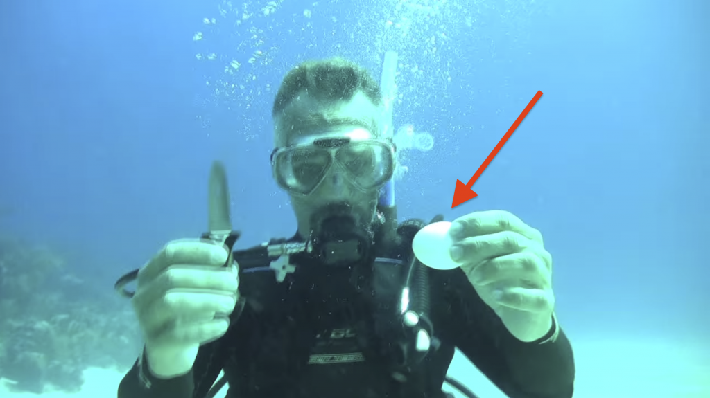 Cracking egg underwater