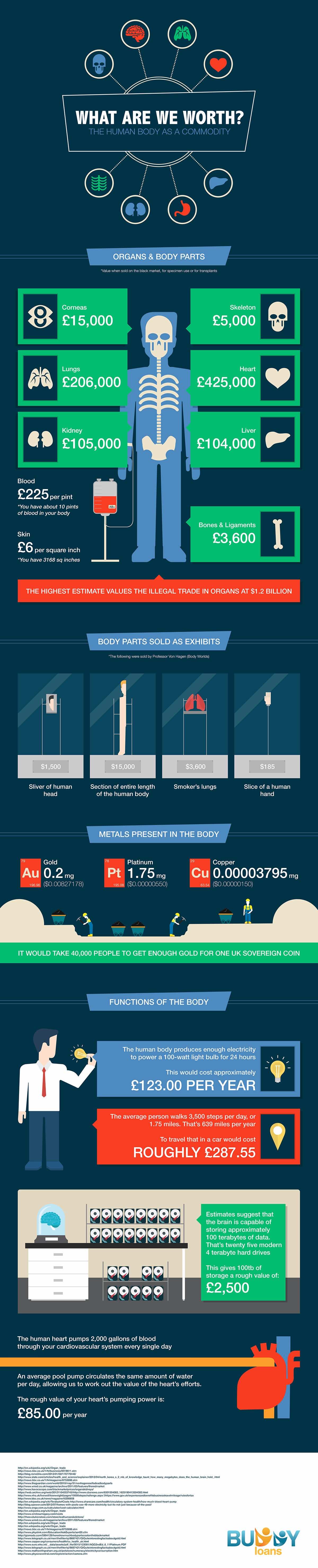 This Is How Much A Human Body Is Worth In The Market
