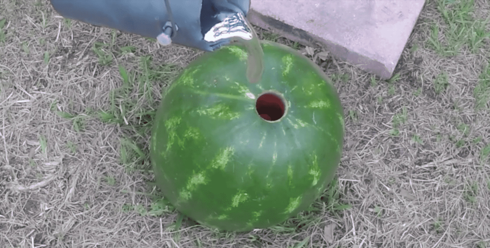 aluminium in water melon