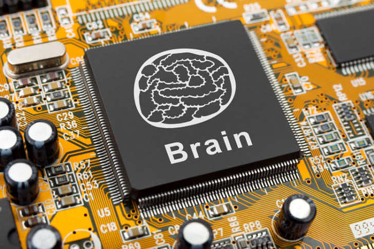 Brain-like Circuit Mimics Human Brain 3
