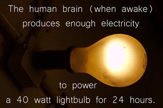 interesting-science-facts-12-pics_8