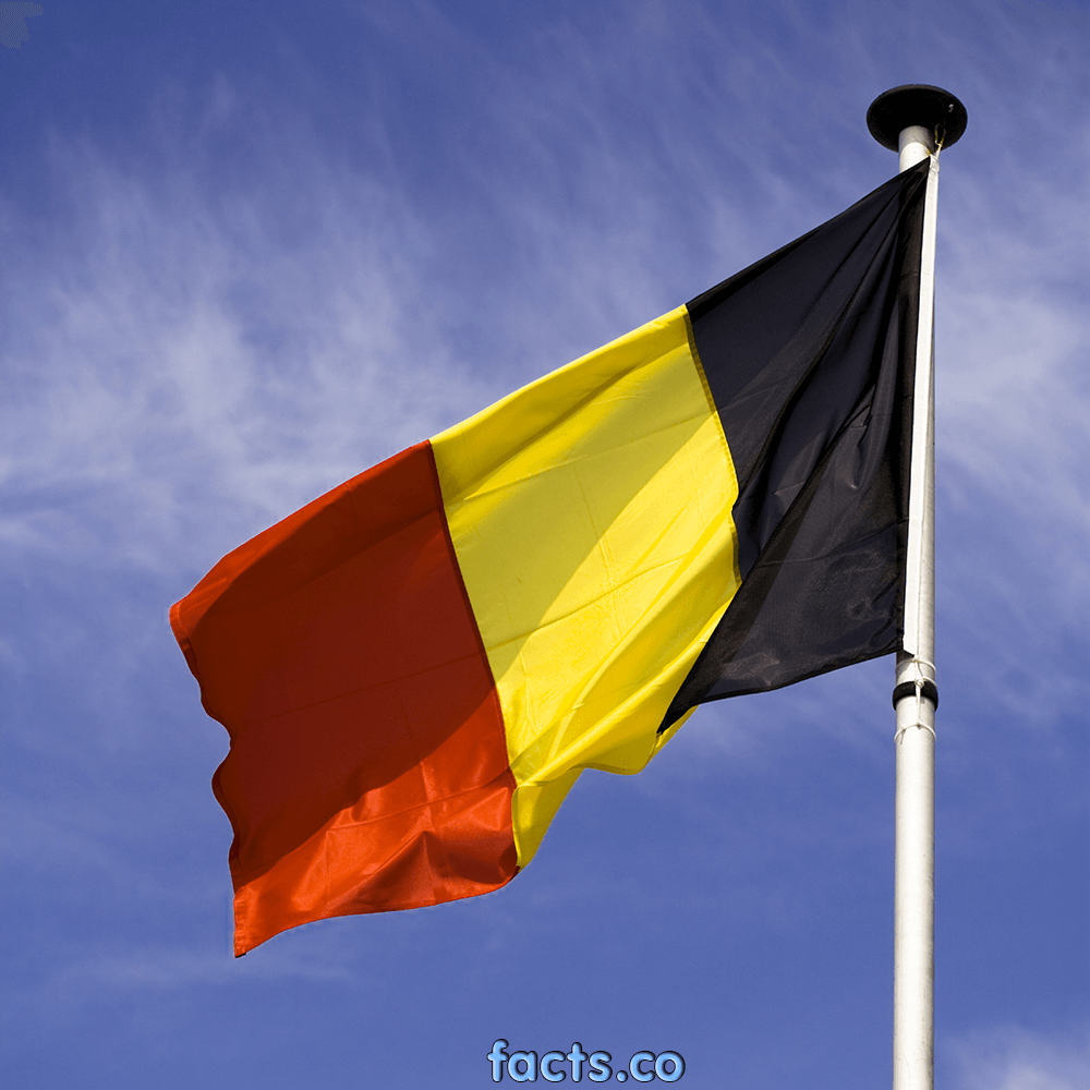Flag Of Belgium - The Symbol Of Independence. Pictures & Images
