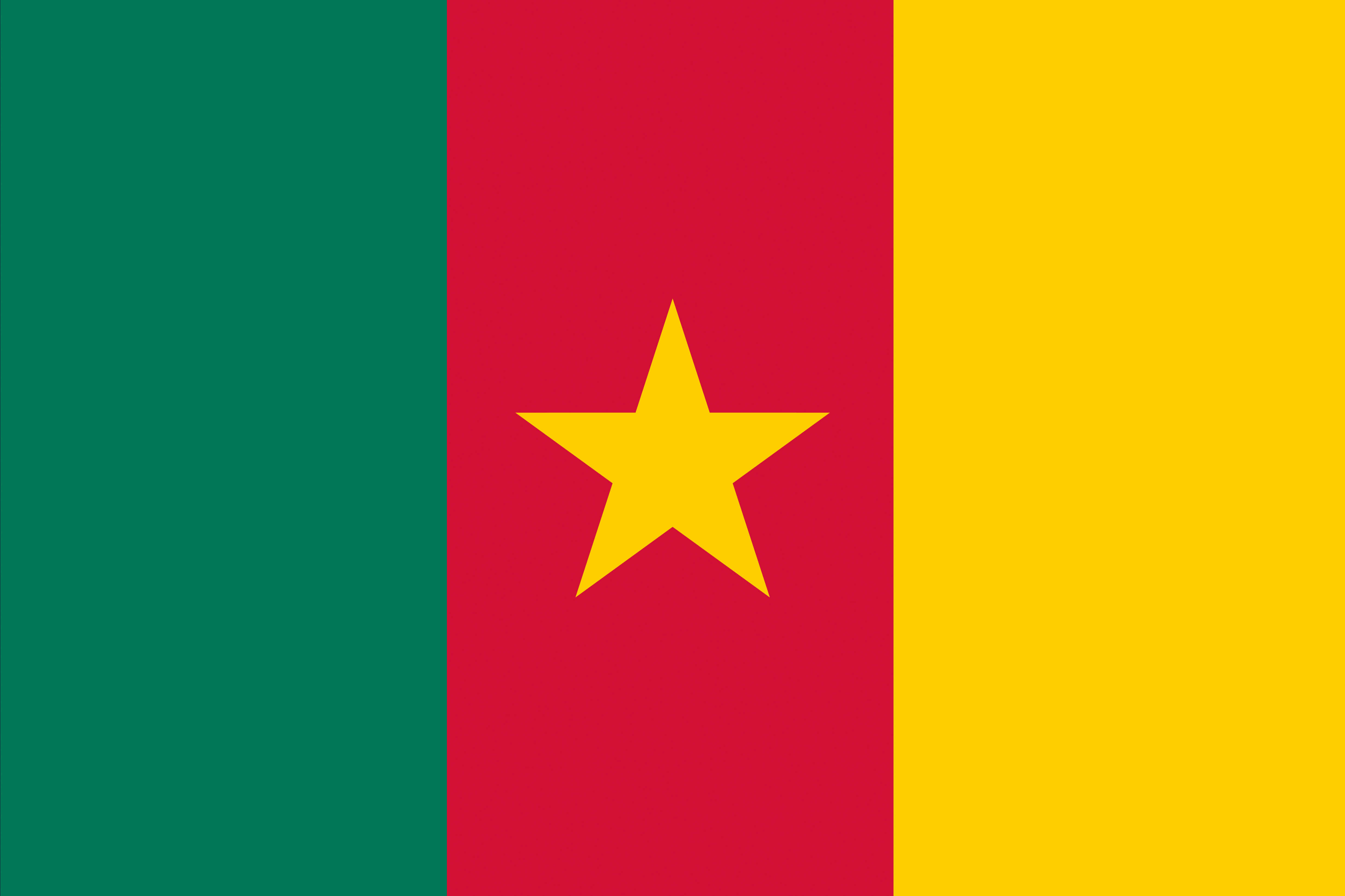 Cameroon Flag (2)