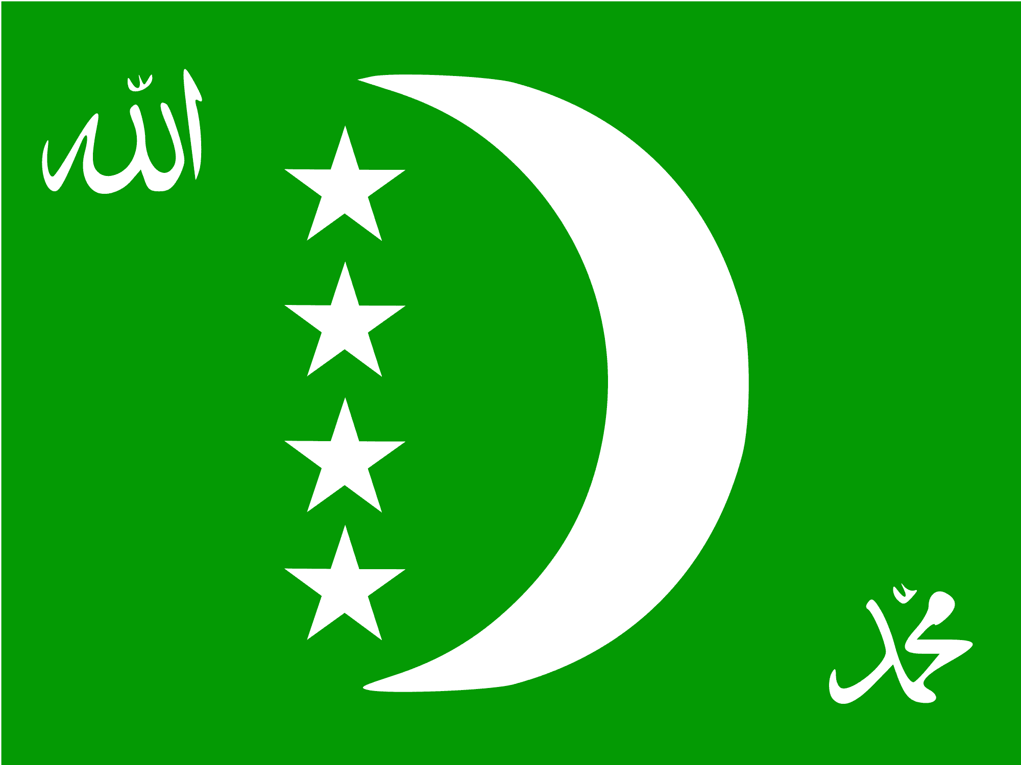 Зеленый флаг с луной. Мусульманский флаг. Флаг с полумесяцем и звездой. Зеленый флаг Турции. Флаг исламской Республики.
