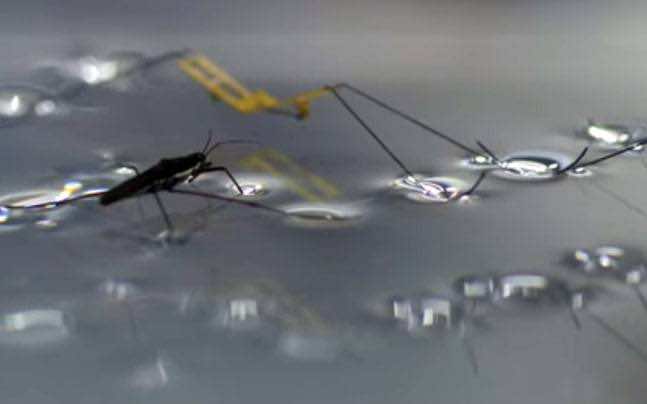 This Robot Can Walk On Water 4
