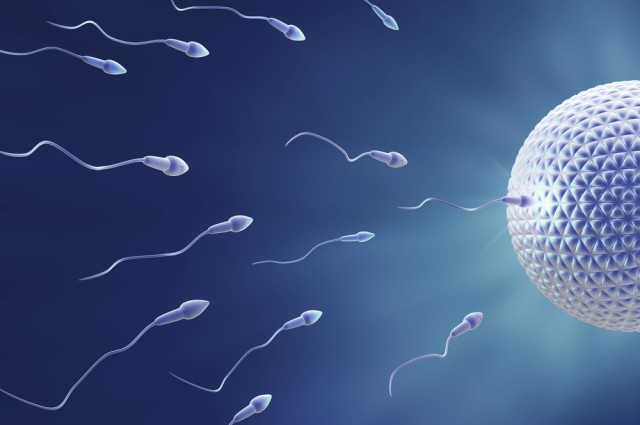 First Lab-Grown Human Sperm Technique Explained