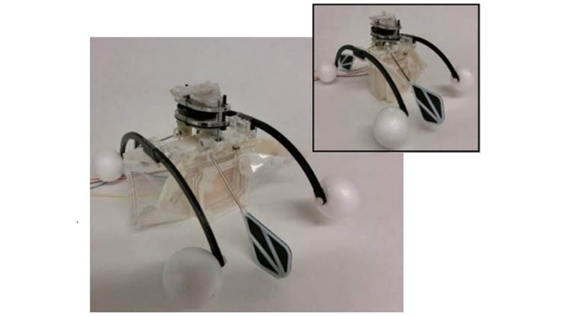 This Robot Swims In Water And Cleans It While Powering Itsel