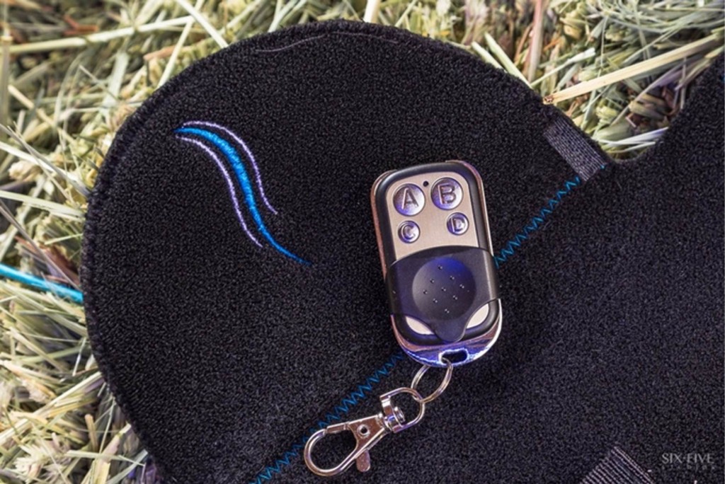 This New Gadget Adds A Tail Light To Your Horse