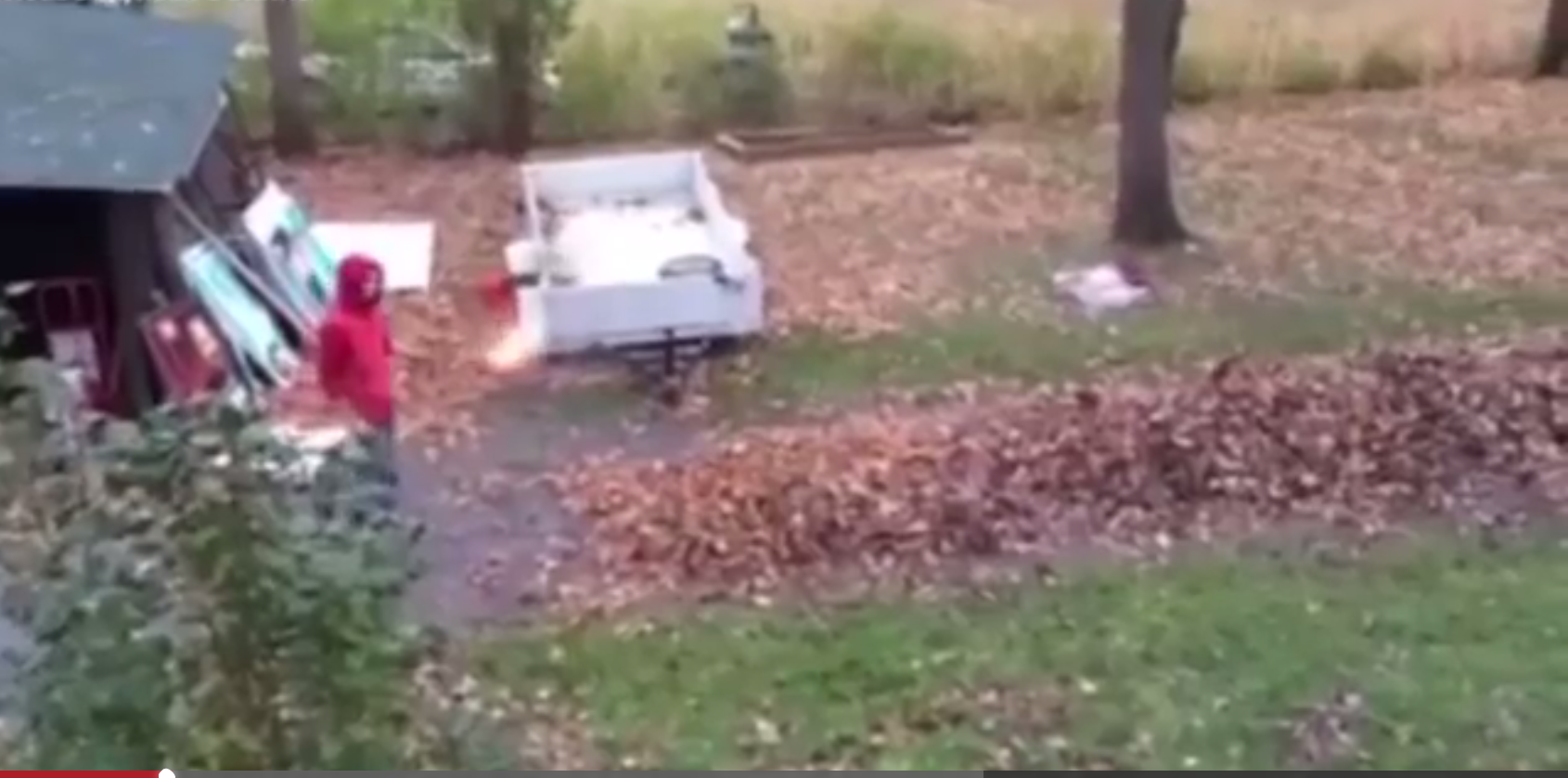 Watch this Incredible but Dangerous Way to Get Rid of those Troublesome Autumn Leaves   YTPak