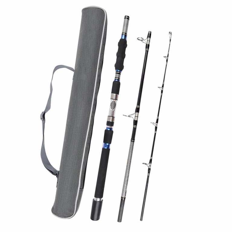 10 Best Fishing Rods For Professionals And Hobbyists