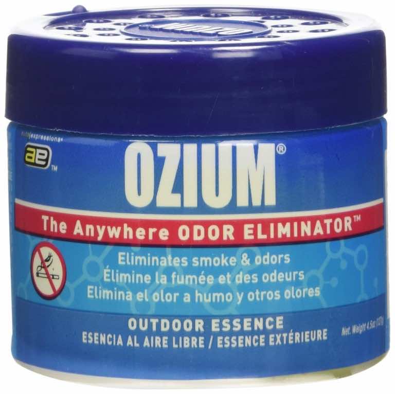 10 Best Car Odor Eliminators