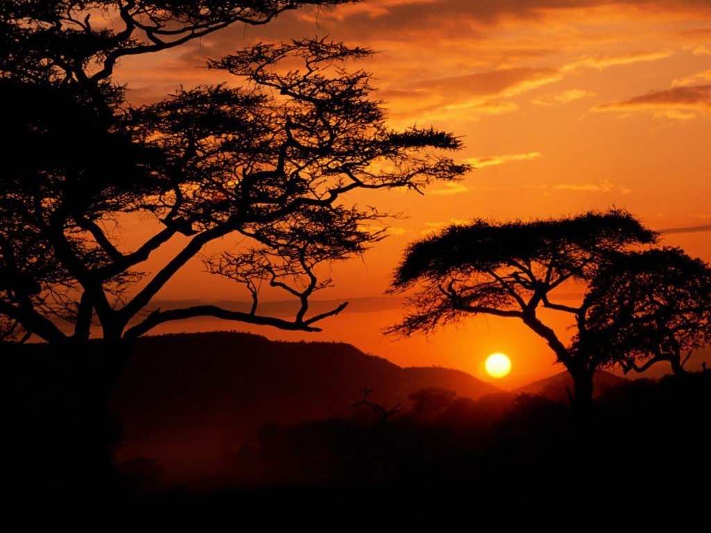 48 HD Africa Wallpapers For Desktop And Mobile